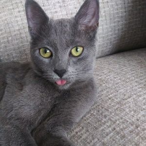 Meet your Posher, Nicole